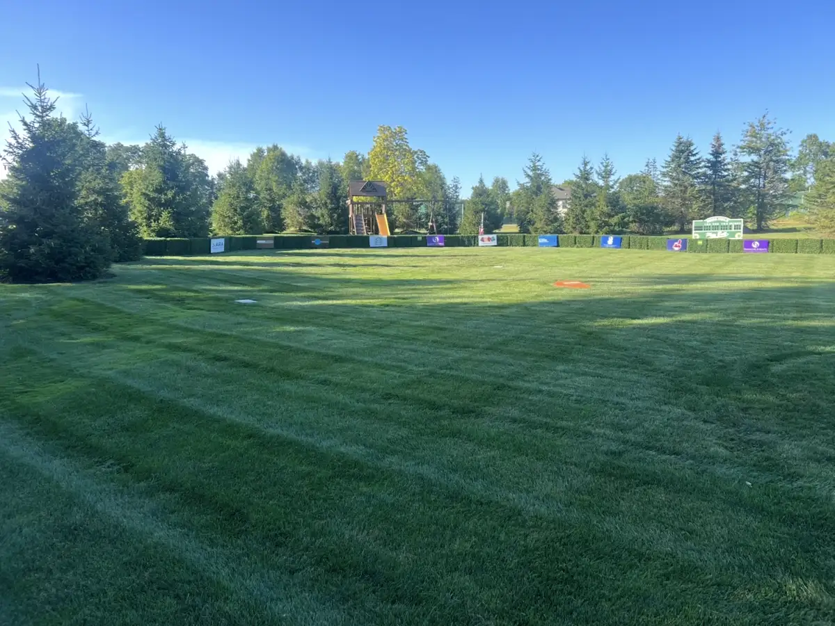 Large lawn with professional mowing stripes treated by Field of Dreams Lawn Care in Medina, Ohio