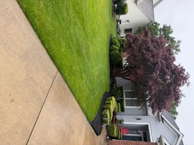Home with treated lawn and foundation perimeter in Northeast Ohio